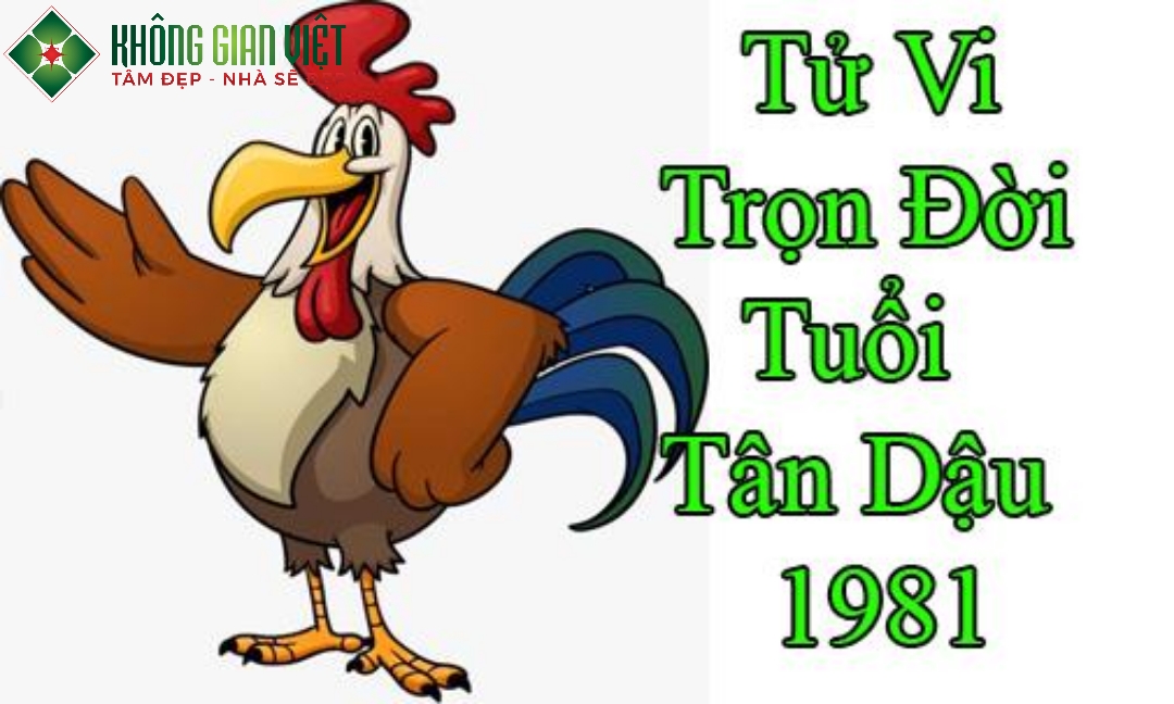 Tuổi Tân Dậu 1981 Xây Nhà Năm 2025 Có Tốt Không